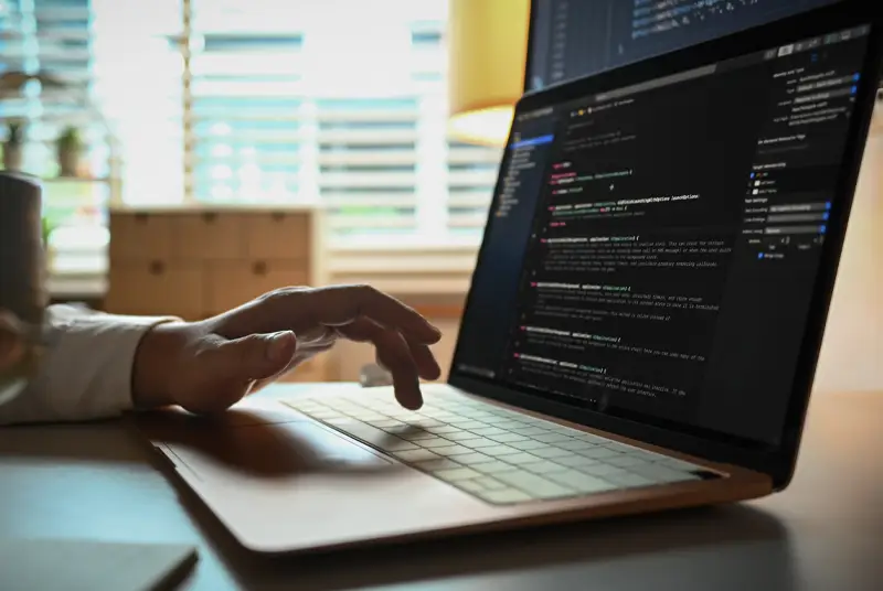 WordPress vs Webflow vergleiche Tipps zur Zielgruppenrecherche